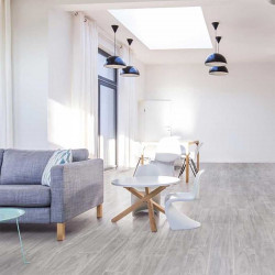 sol pvc salon bois gris