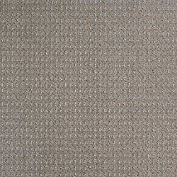 Moquette Gris muscade