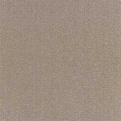 Moquette gris angora pure laine