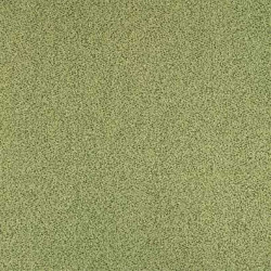 Moquette verte mousse