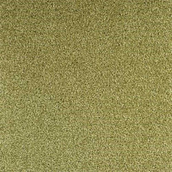 Moquette épaisse vert aloes