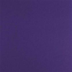 Moquette violette prune salon