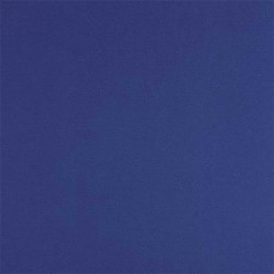 Moquette bleue stand