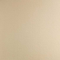 moquette couleur mastic beige