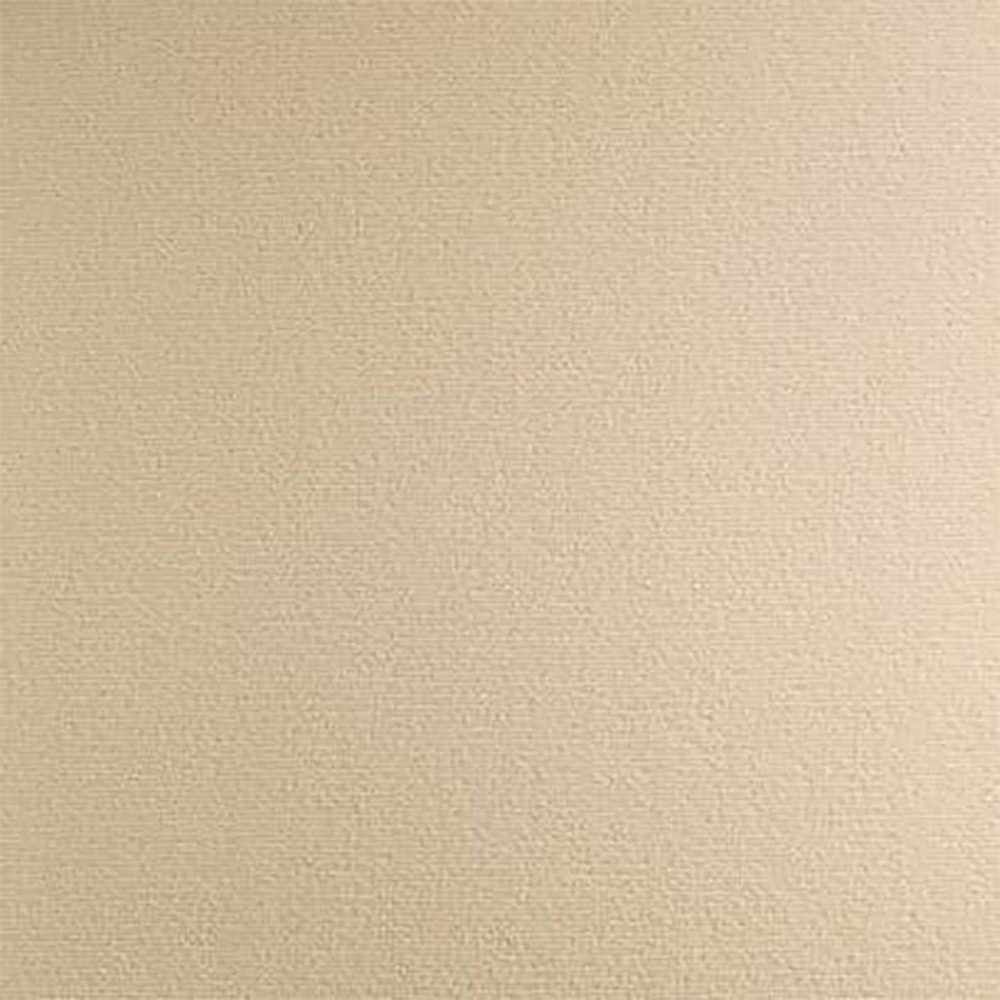 moquette couleur mastic beige