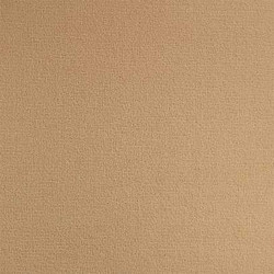 Moquette salon marron clair