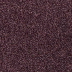 Moquette couleur raisin