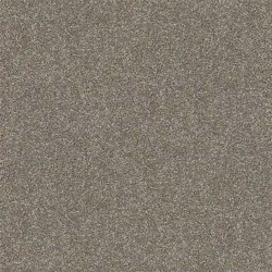 Moquette gris soupir balsan