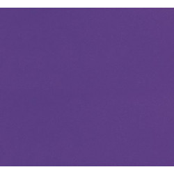 Moquette de stand violette...