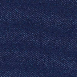 Moquette à pois bleue