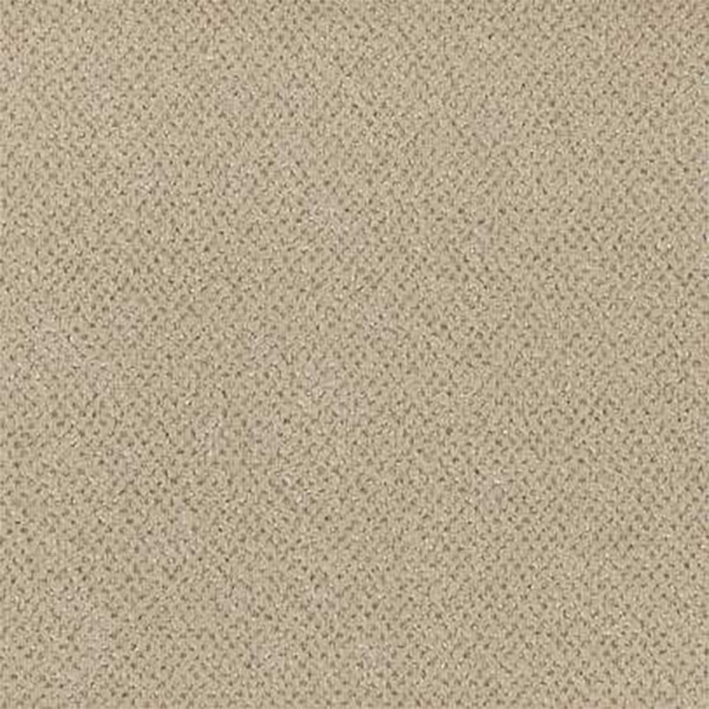 Moquette beige tacheté