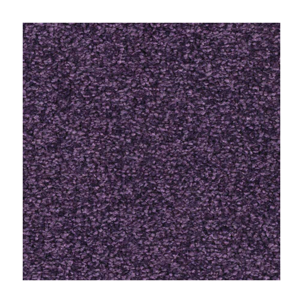 Dalle moquette plombante violette, collection Ultrasoft
