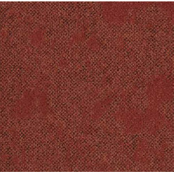 Dalle moquette rouge, professionnel