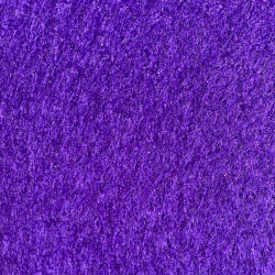 Rouleau de moquette 2x30m, violet foncé avec protection - usage évènementiel