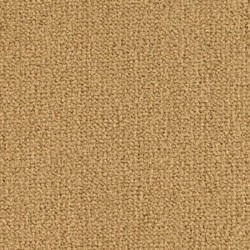 Moquette beige résistante fibre synthétique