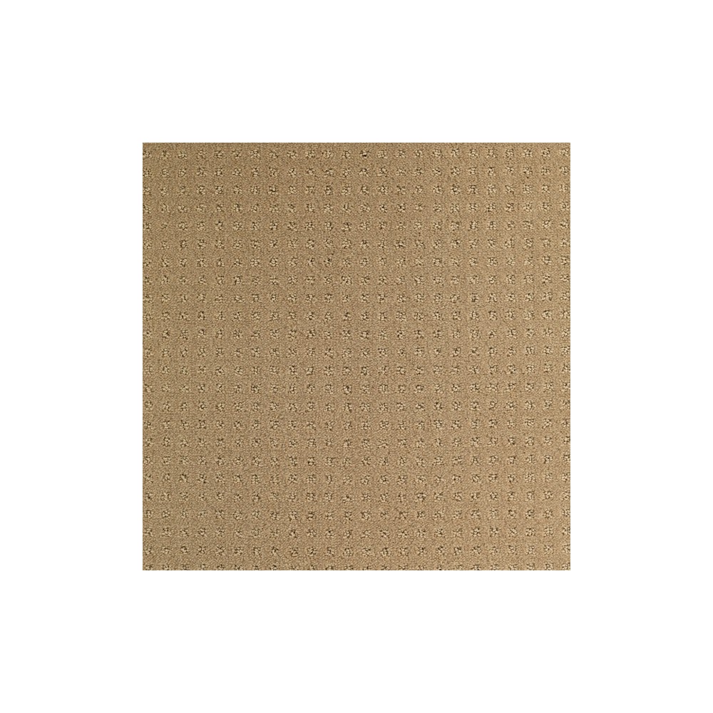 Moquette velours, mocca, rouleau 4 m