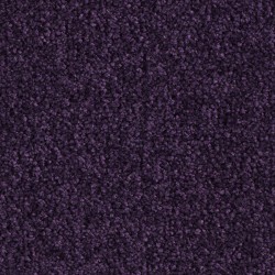 Moquette violet raisin, collection Sweet