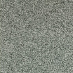 Moquette gris abysse, Piace