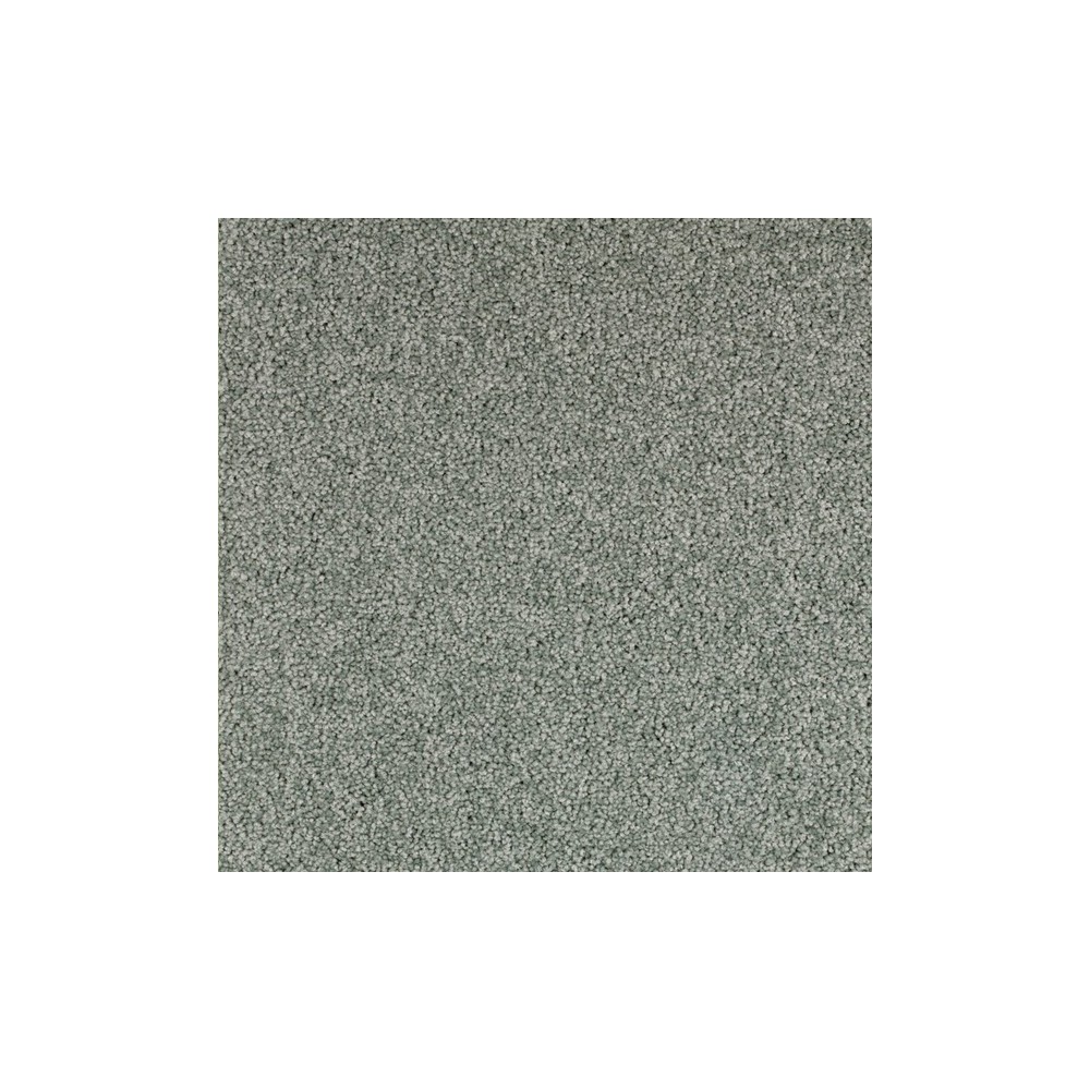 Moquette gris abysse, Piace