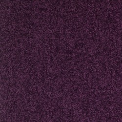 Moquette teinte violet prune pour bureaux professionnels, sur Moquette Avenue