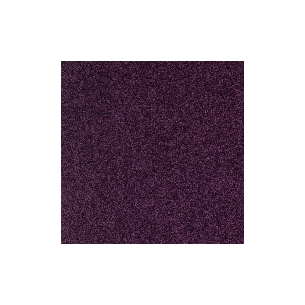 Moquette teinte violet prune pour bureaux professionnels, sur Moquette Avenue