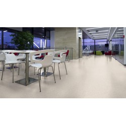 Sol PVC Tarkett blanc 3040453 - locaux collectifs