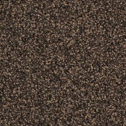 Moquette marron foncé en polyamide - Office