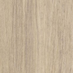 Dalle PVC Amtico Desert sandstone SS5S4607, grand passage